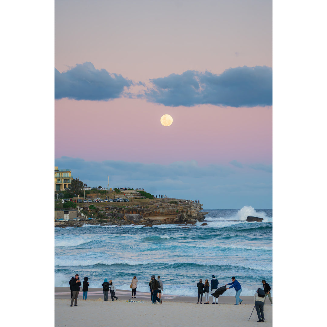 Moon Watchers