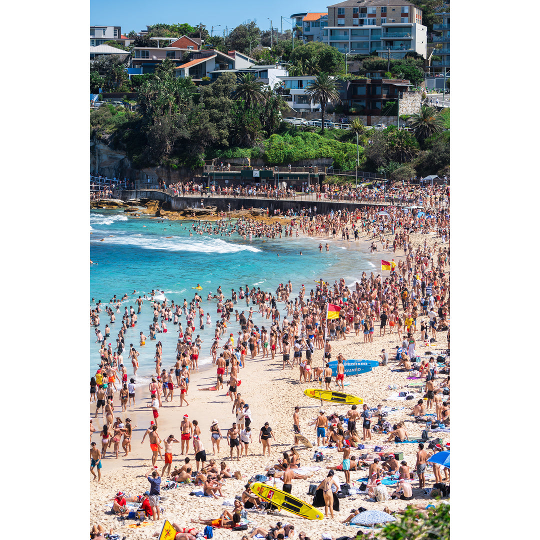 Bronte Silly Season