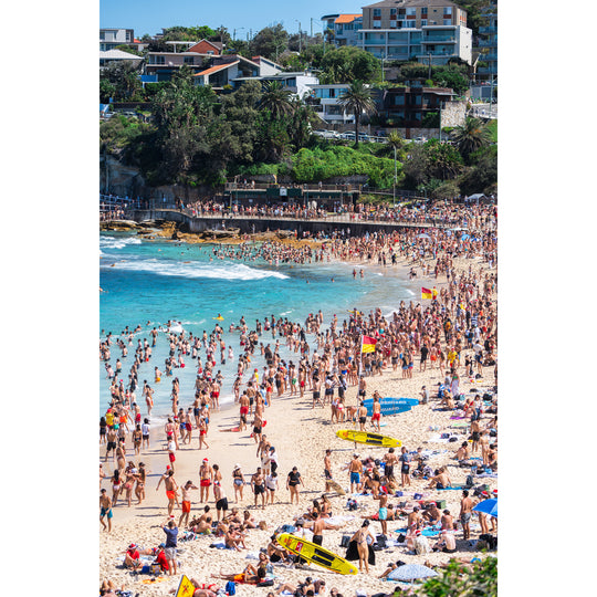 Bronte Silly Season