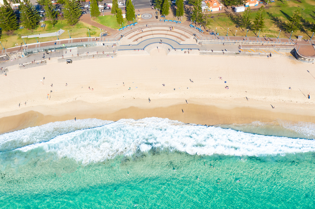 Morning Coogee