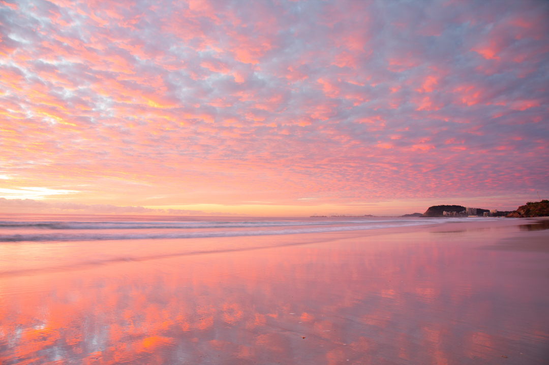 Pink Reflections