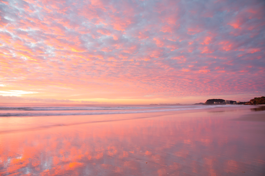 Pink Reflections
