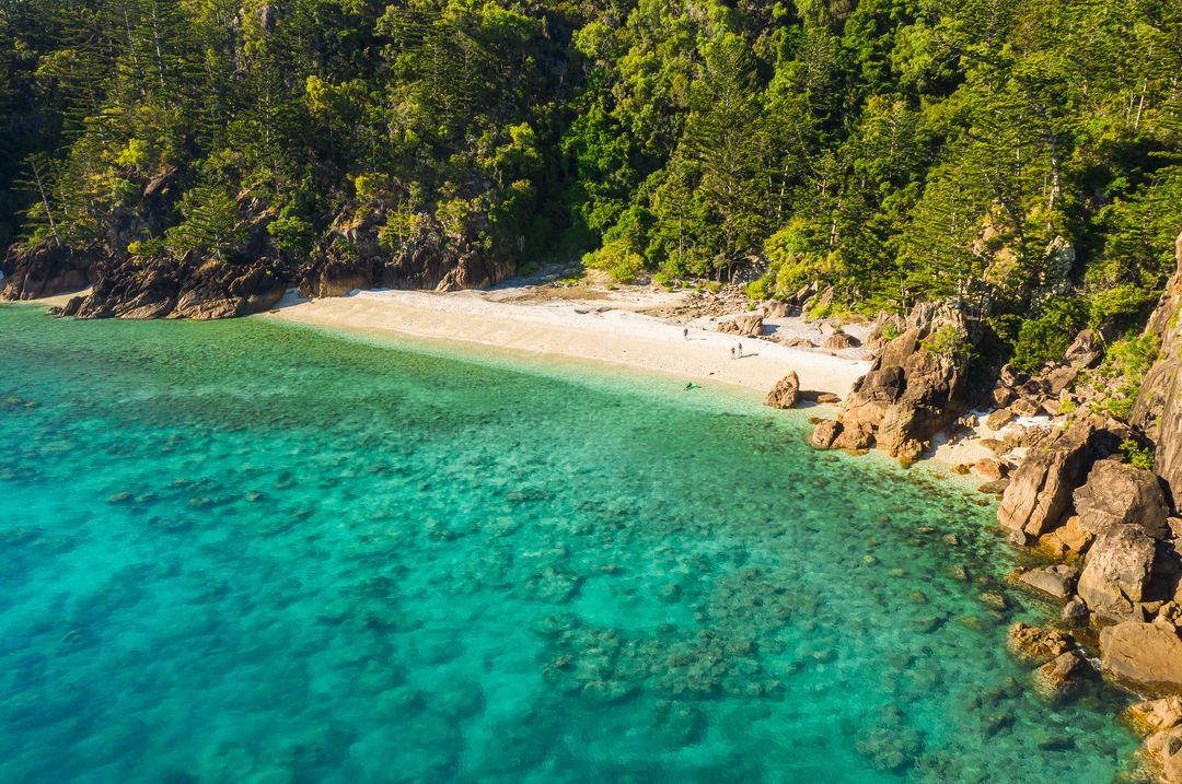 Winter in the Tropics