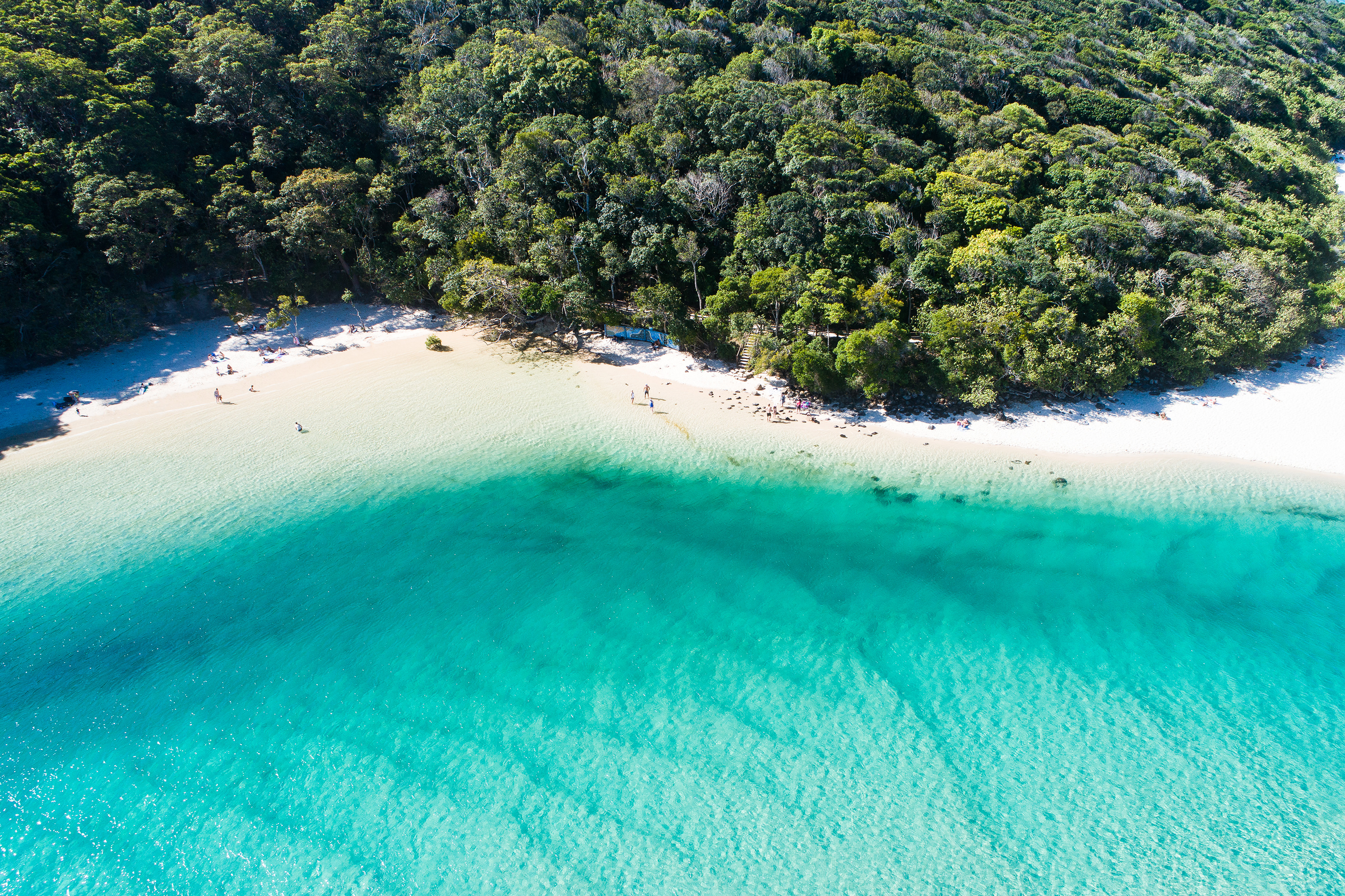 Tallebudgera