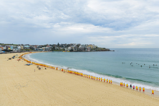 Shoulder to Shoulder