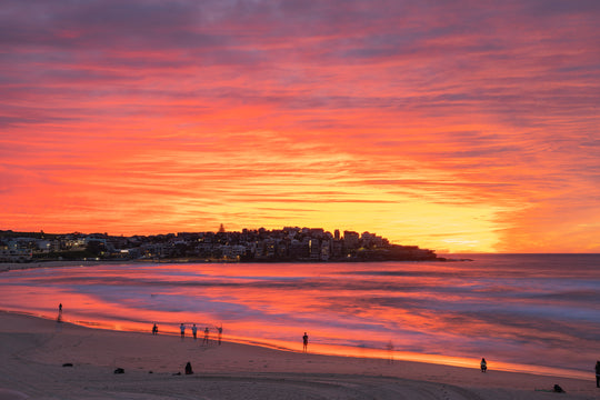 Bondi Ablaze