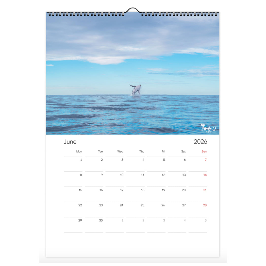 2026 A3 Calendar - 12 Months of the Gold Coast