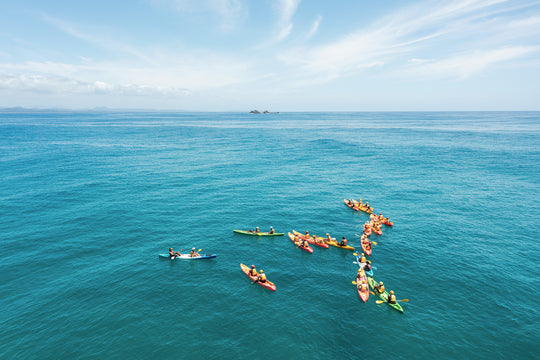 Coloured Kayaks