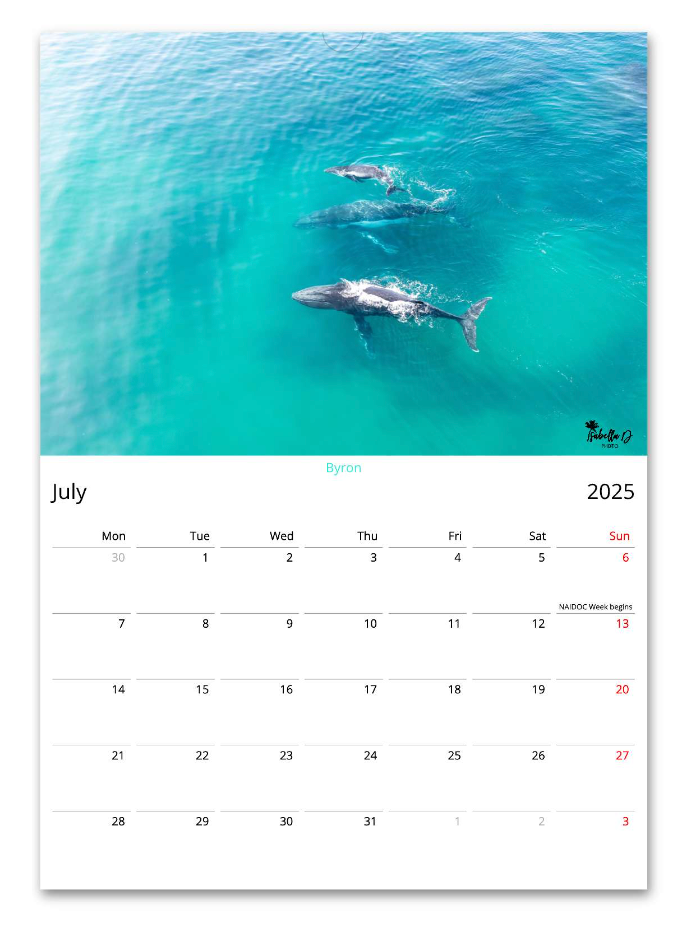 2025 A3 Calendar - 12 Months of Beaches