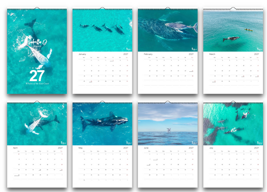 2027 A3 Calendar - Whales of the East Coast