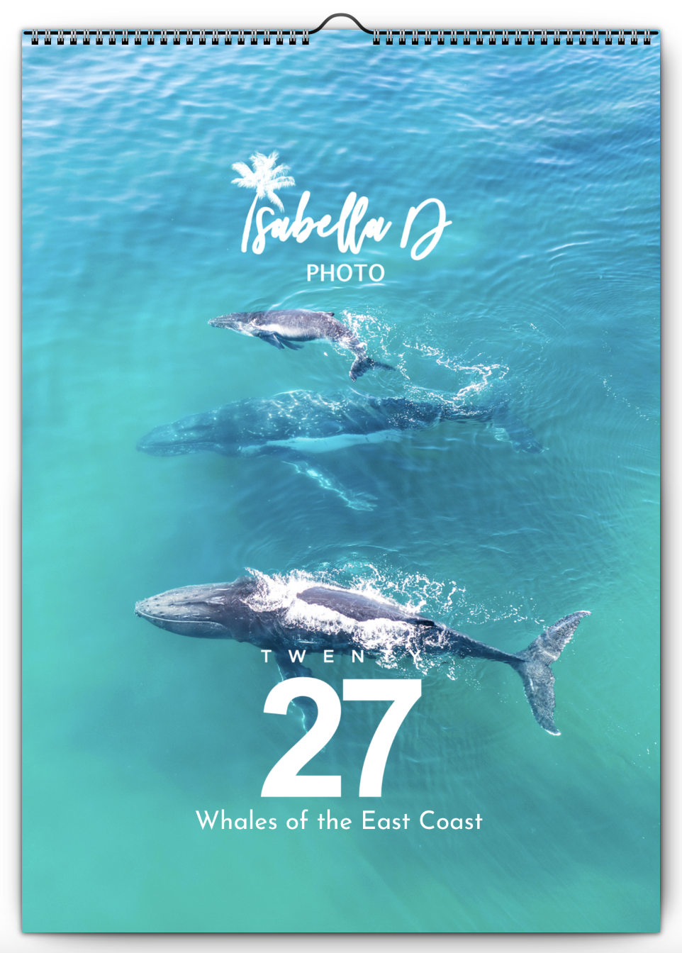 2027 A3 Calendar - Whales of the East Coast