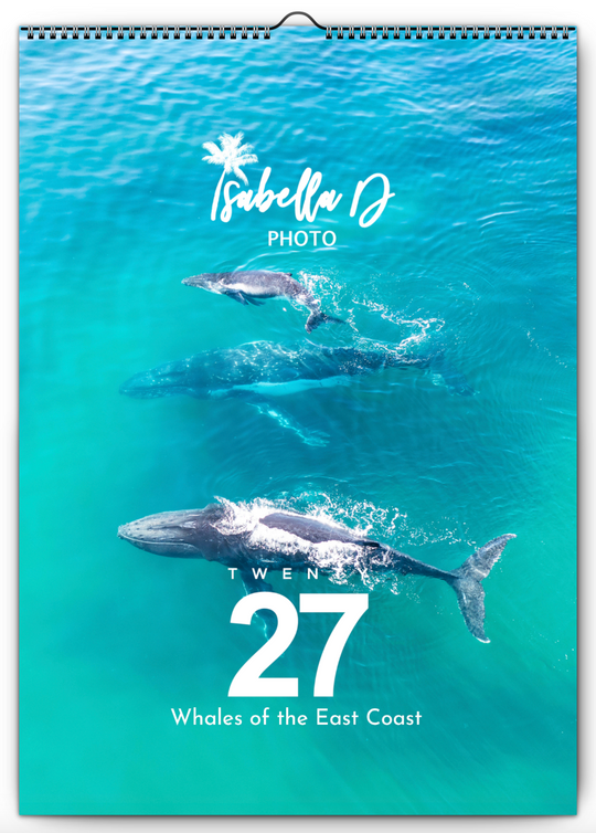 2027 A3 Calendar - Whales of the East Coast