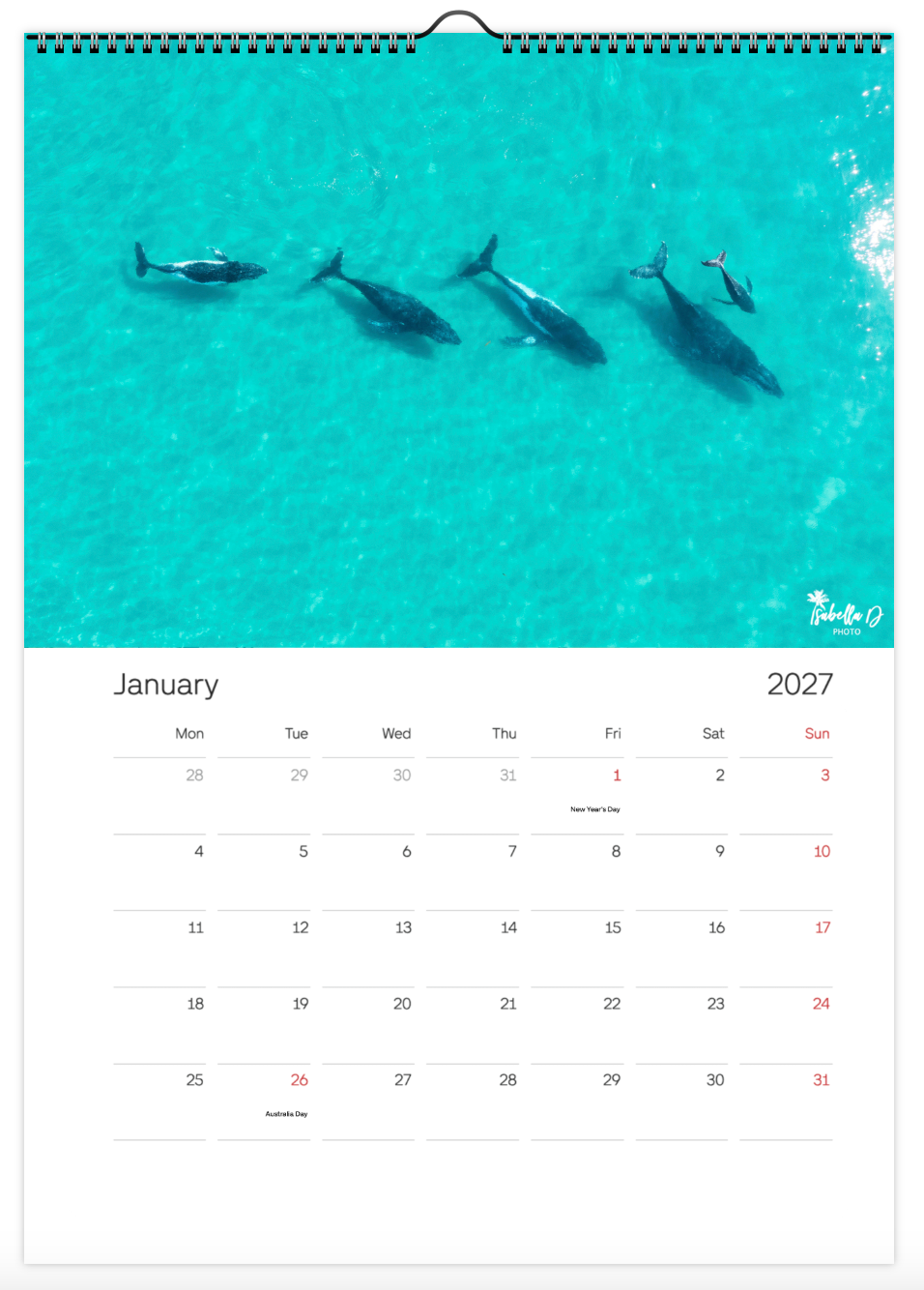 2027 A3 Calendar - Whales of the East Coast