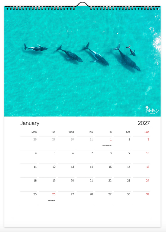 2027 A3 Calendar - Whales of the East Coast