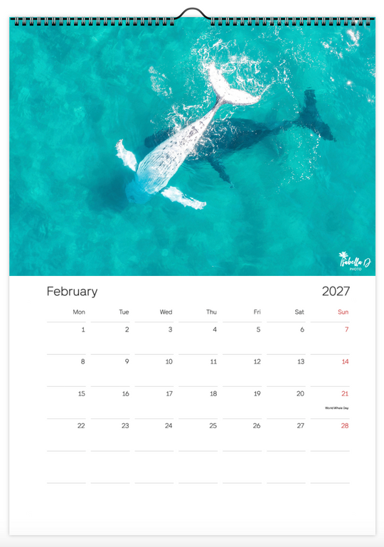 2027 A3 Calendar - Whales of the East Coast
