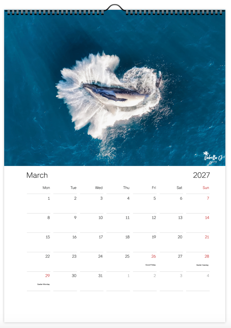 2027 A3 Calendar - Whales of the East Coast
