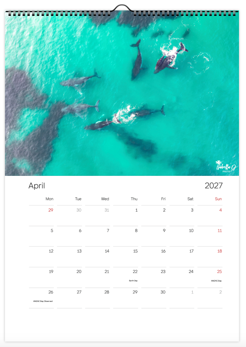 2027 A3 Calendar - Whales of the East Coast