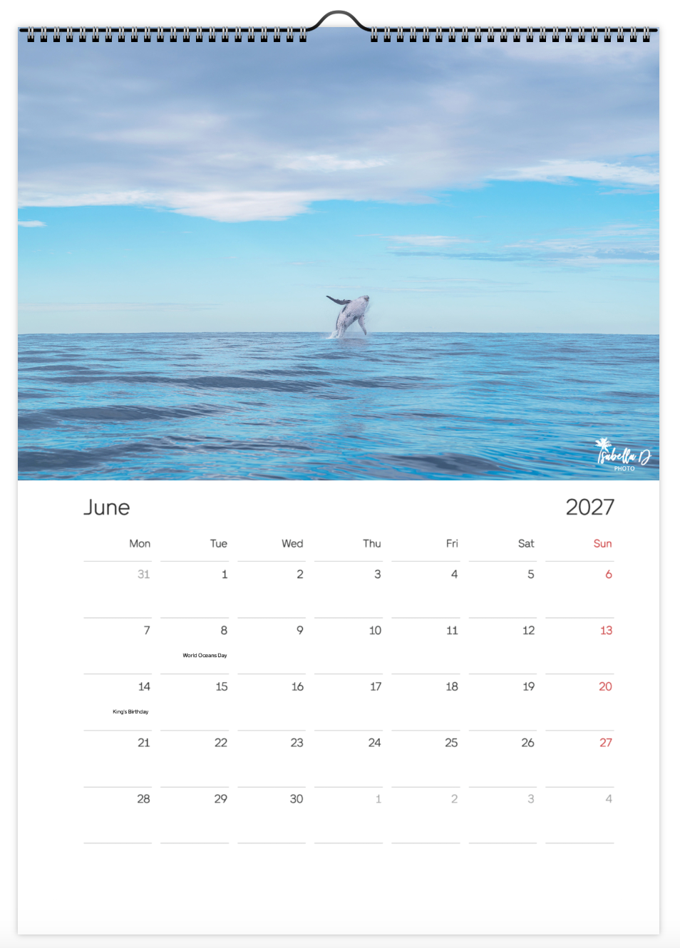 2027 A3 Calendar - Whales of the East Coast