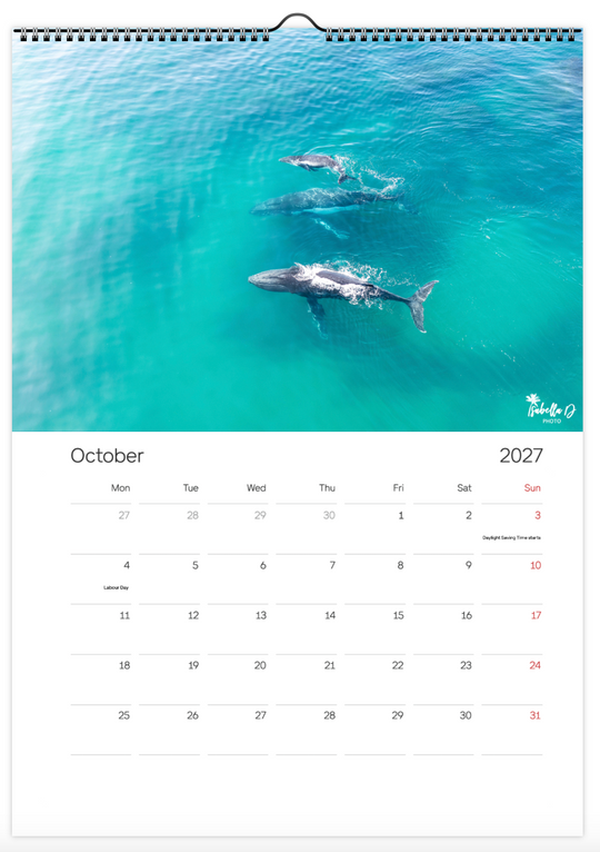 2027 A3 Calendar - Whales of the East Coast