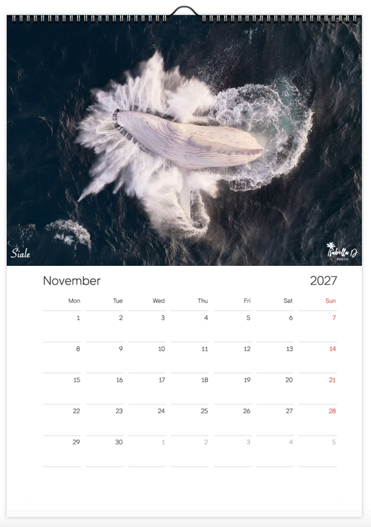 2027 A3 Calendar - Whales of the East Coast