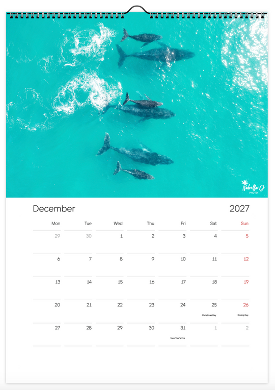 2027 A3 Calendar - Whales of the East Coast