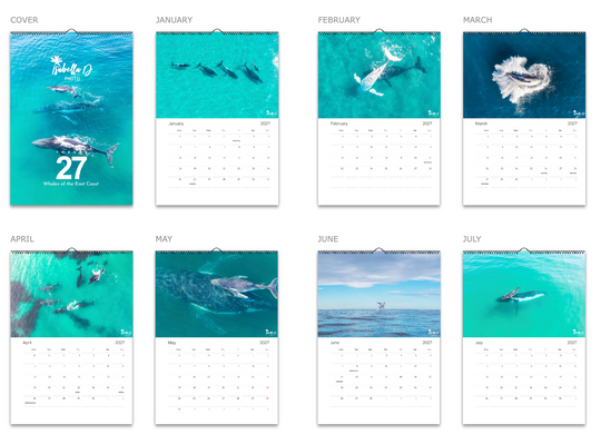 2027 A3 Calendar - Whales of the East Coast