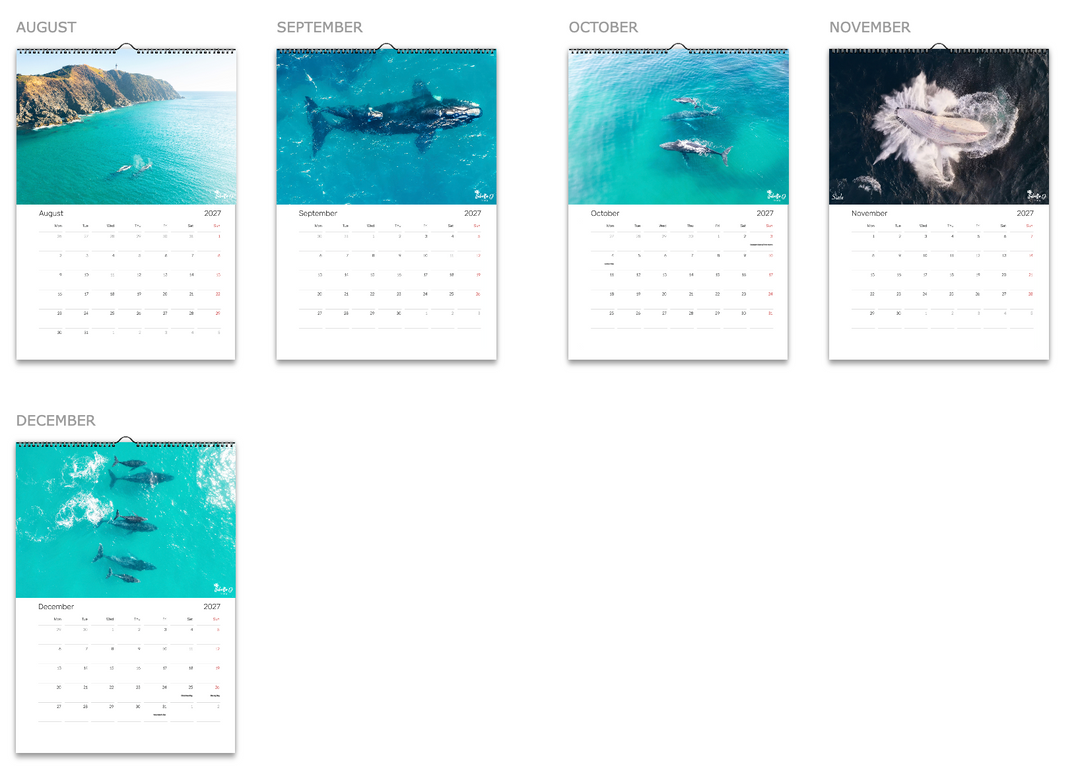 2027 A3 Calendar - Whales of the East Coast