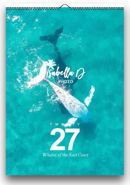 2027 A3 Calendar - Whales of the East Coast