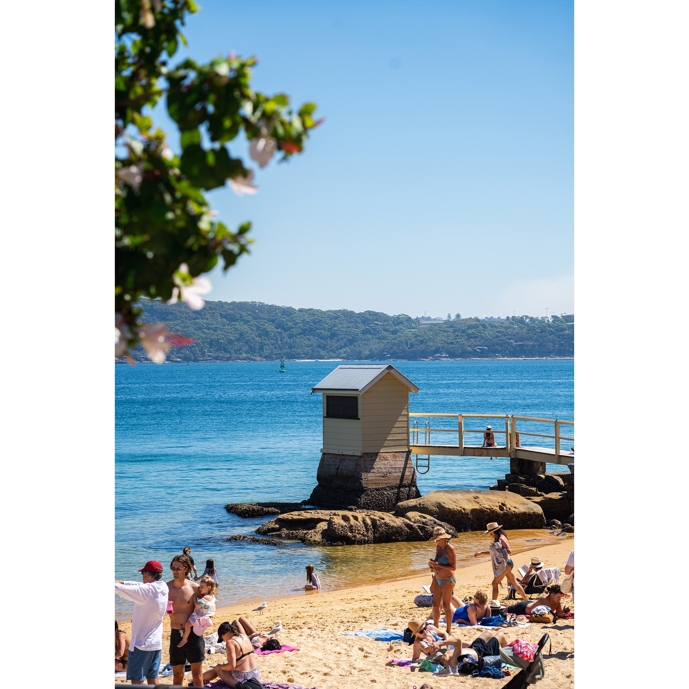 Issy Spring Spring at Camp Cove | Photography by Issy D Photo – Isabella D Photo