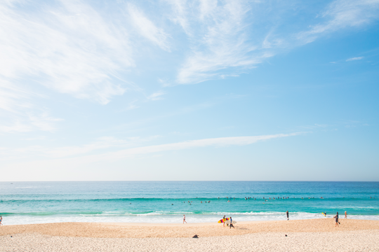 Bondi Morning