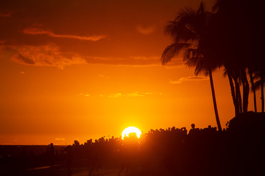 Waikiki Sunset